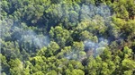 Dập tắt hoàn toàn cháy rừng ở núi Chóp Vung 