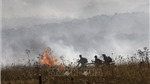 Cháy rừng tại Israel sau các vụ tấn công bằng rocket từ Liban