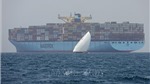 Hãng vận tải biển Maersk dự báo lợi nhuận tăng hơn 3 tỷ USD