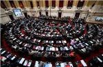 Thượng viện Argentina thông qua dự luật cải cách