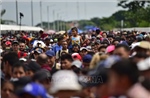 Mexico đẩy mạnh &#39;giải pháp tận gốc&#39; cho làn sóng di cư khu vực