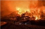 Cháy rừng vượt tầm kiểm soát tại Hy Lạp