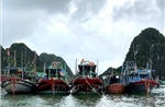 Quảng Ninh cấm biển, ngừng cấp phép tàu ra khơi từ 13h ngày 18/8