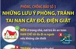 Phòng, chống bão số 3: Những lưu ý phòng, tránh tai nạn cây đổ, điện giật