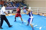 Khai mạc Giải vô địch Boxing toàn quốc năm 2024