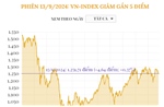 Phiên 13/9/2024: VN-Index giảm gần 5 điểm