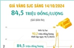 Vàng SJC sáng 14/10/2024 có giá 84,5 triệu đồng/lượng