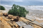 Huế: Nguy cơ biển xâm thực sâu trong đất liền do gió mạnh, sóng lớn
