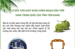 Thông tin về 70 tấn dừa tươi của Tiền Giang xuất khẩu chính ngạch sang Trung Quốc