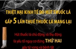 Thiệt hại kinh tế do hút thuốc lá gấp 5 lần thuế thuốc lá mang lại