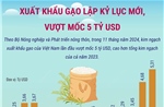 Xuất khẩu gạo lập kỷ lục mới, vượt mốc 5 tỷ USD