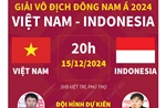 Giải vô địch Đông Nam Á: Thông tin trước trận đấu Việt Nam - Indonesia