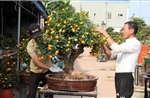 Nghệ nhân thổi &#39;hồn&#39; cho quất bonsai