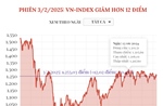 Phiên 3/2/2025: VN-Index giảm hơn 12 điểm