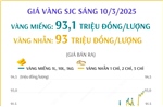 Giá vàng SJC sáng 10/3/2025 tiếp tục tăng, lên mốc 93 triệu đồng/lượng