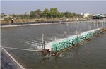 Khởi sắc kinh tế cù lao Tân Phú Đông