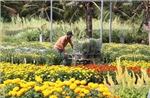 Hỗ trợ 30% chi phí cho nhân rộng mô hình nông nghiệp hiệu quả cao
