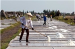 Nghề làm muối truyền thống của xã Thụy Hải (Thái Bình) là Di sản văn hóa phi vật thể Quốc gia