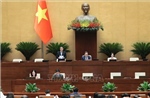 Quốc hội thảo luận về dự án Luật Năng lượng nguyên tử (sửa đổi)