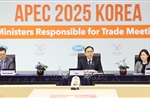 APEC ra tuyên bố chung nhấn mạnh tầm quan trọng của WTO và kêu gọi hợp tác