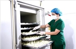 Gia tăng nội lực và giá trị cho sản phẩm OCOP