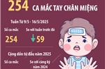 Hà Nội: 254 ca mắc tay chân miệng (từ 9/5 - 16/5/2025)