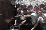 Liên hợp quốc quan ngại về hoạt động phân phối viện trợ &#39;hỗn loạn&#39; ở Gaza