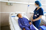 Bốn người bị ngộ độc do ăn nấm rừng đã được xuất viện