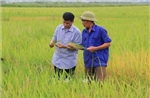 Bắc Ninh đặt mục tiêu trên 40% tỷ trọng nông nghiệp ứng dụng công nghệ cao