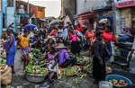 1,3 triệu người Haiti phải rời bỏ nhà cửa vì bạo lực
