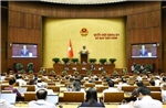 Cần giải pháp tổng thể ngăn chặn bạo lực học đường