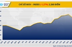 Giá cà phê đảo chiều tăng vọt, giá dầu thô lao dốc hơn 7%