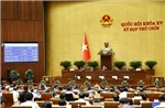 Kỳ họp thứ 9, Quốc hội khóa XV: Thông qua Luật Tham gia lực lượng gìn giữ hòa bình của Liên hợp quốc