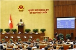 Kỳ họp thứ 9, Quốc hội khóa XV: Miễn, hỗ trợ học phí từ năm học 2025-2026