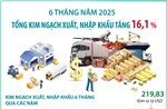 6 tháng năm 2025: Tổng kim ngạch xuất, nhập khẩu hàng hóa tăng 16,1%
