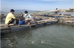 Kiện toàn bộ máy hành chính, tận dụng hiệu quả nguồn lực sẵn có tại xã đảo Long Sơn
