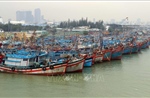 Đà Nẵng: Chủ động triển khai các biện pháp ứng phó với bão số 3
