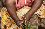 Gambia tuyên bố bùng phát dịch bệnh đậu mùa khỉ