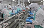 Xuất khẩu khởi sắc tiếp sức cho tăng trưởng kinh tế