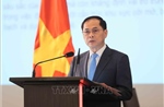 30 năm Việt Nam tham gia ASEAN - Từ khát vọng chung đến thành viên tin cậy và trách nhiệm