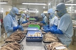 Thủy sản Việt thay đổi tư duy để chinh phục thị trường nội địa