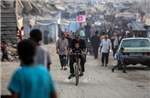 Ai Cập cam kết chung tay chấm dứt chiến sự ở Dải Gaza