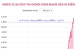 Phiên 22/8/2025: VN-Index giảm mạnh gần 43 điểm
