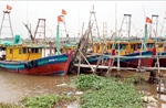 Ninh Bình không cho tàu, thuyền ra khơi từ sáng 24/8