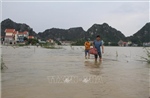 Ninh Bình chủ động ứng phó với áp thấp nhiệt đới trên biển Đông