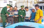 Chống khai thác IUU: Kiên quyết xử lý tàu cá vi phạm