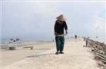 Ngư dân Hà Tĩnh trúng đậm cá mờm cơm