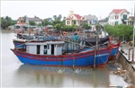 Các địa phương ven biển Nghệ An chủ động ứng phó với bão số 9