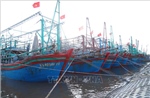 Nghệ An: Cấm các loại tàu thuyền ra khơi từ 5 giờ ngày 27/9