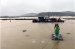 Nghệ An ban hành Công điện khẩn ứng phó bão số 10, mưa lũ, sạt lở đất, lũ ống, lũ quét